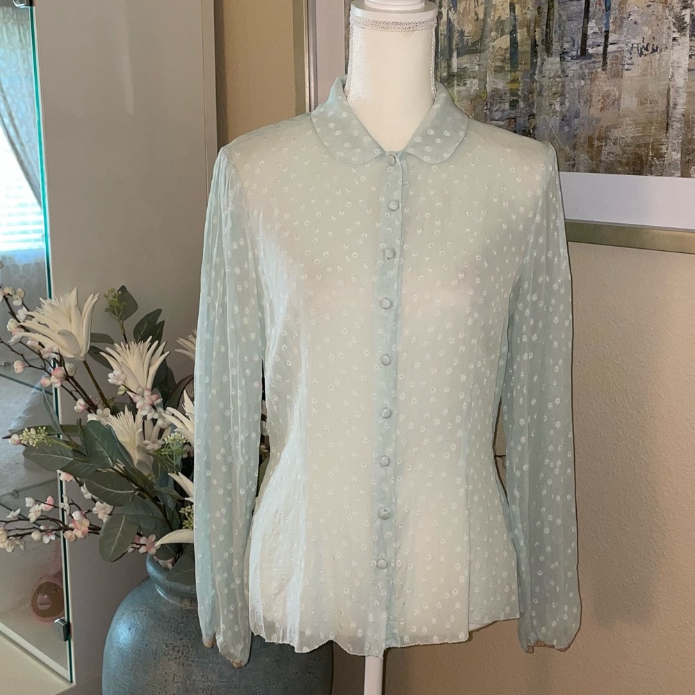 Evita silk sheer button down shirt